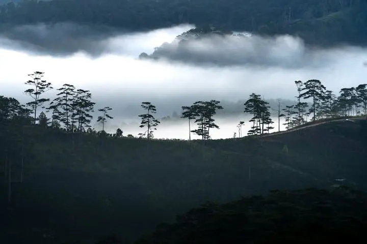 Blog Post Image